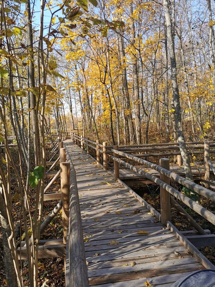 Dodies dabā rudeni skatīt! Ar ES fondu atbalstu labiekārtotās vietas Latvijā